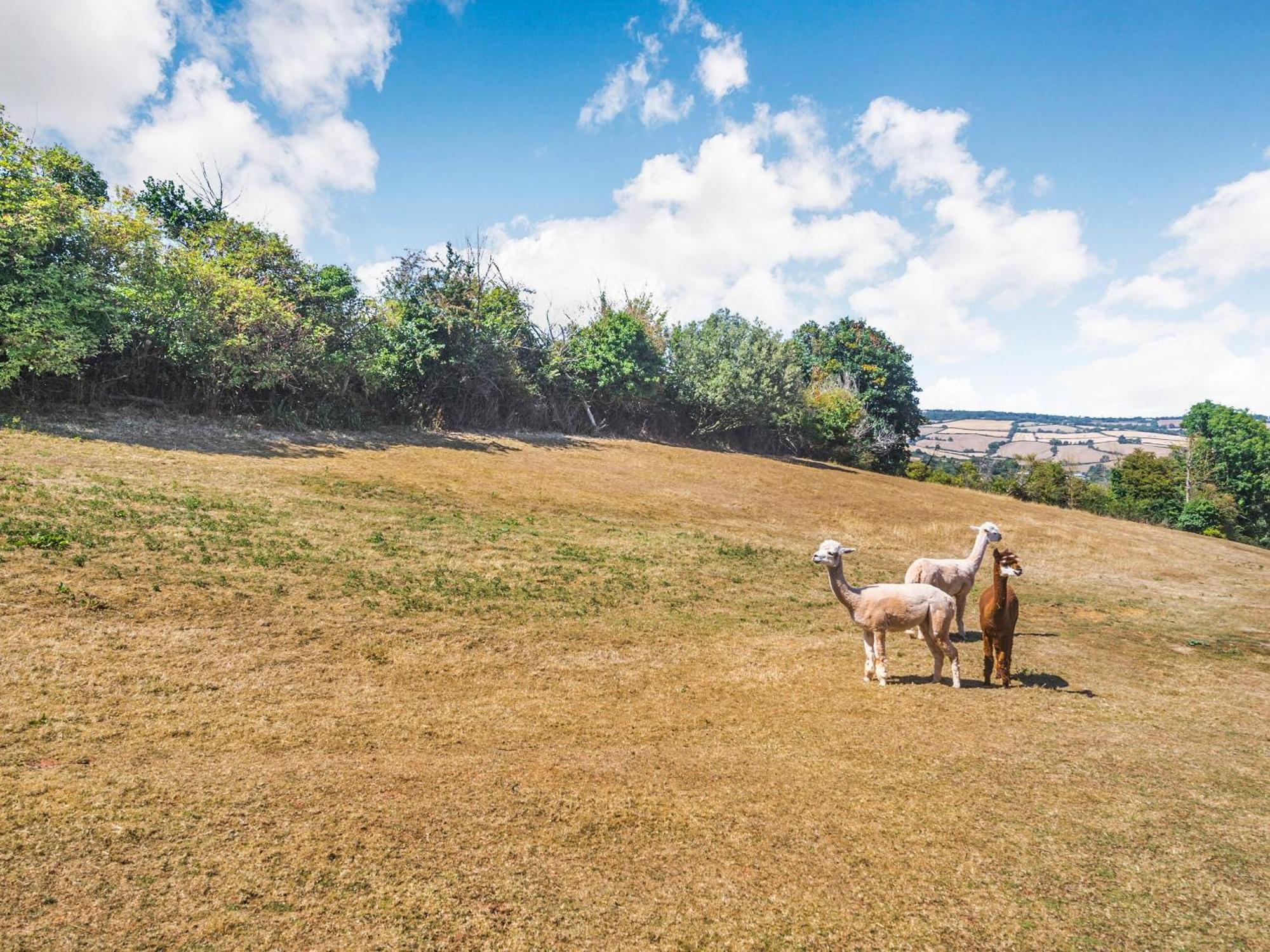New Barn Reservoir Shaldon Εξωτερικό φωτογραφία